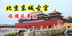 无毛美女骚视频中国北京-东城古宫旅游风景区